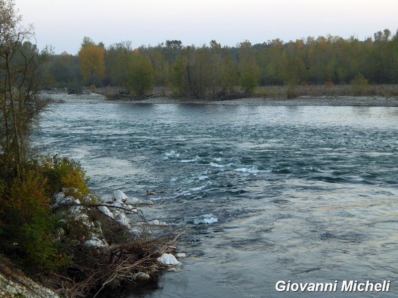 Parco del Ticino 31/10/15